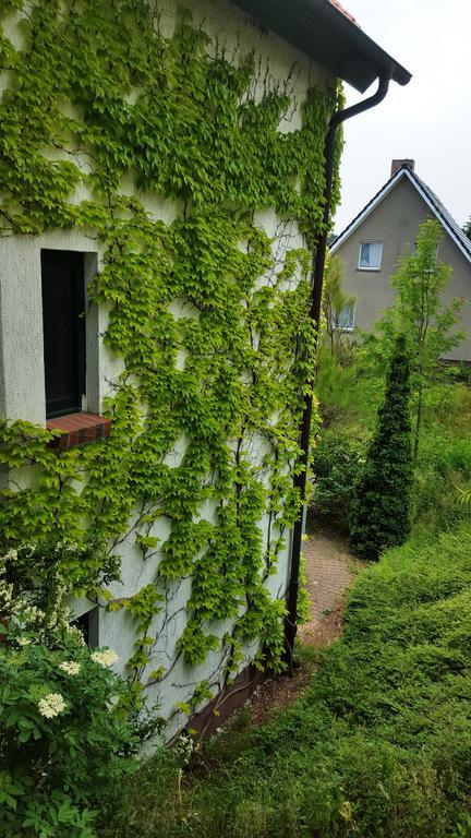 Haus Seefeld Ückeritz Extérieur photo